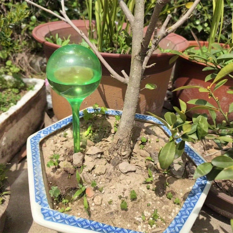 6PCS Indoor Plants Self Wateri - Drip Irrigation System Automatic Kit review and price