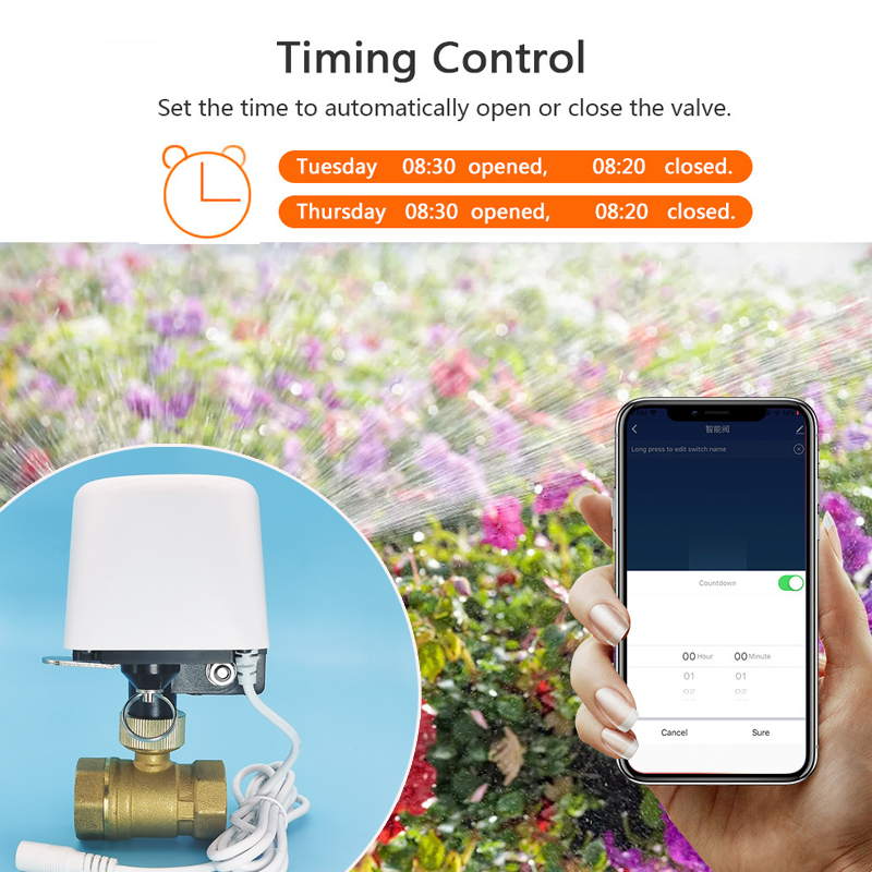 Smart Tuya WiFi Zigbee Water V - Tuya Zigbee Garden Irrigation Controller review and price