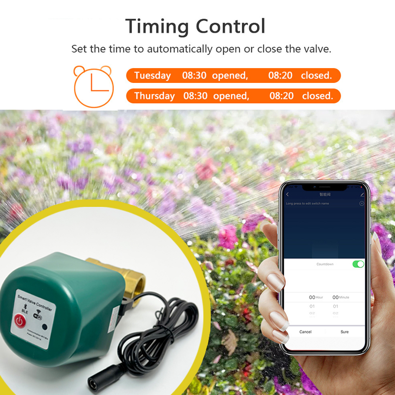 Tuya Zigbee Smart Valve 1/2 3/ - Tuya Zigbee Garden Irrigation Controller review and price