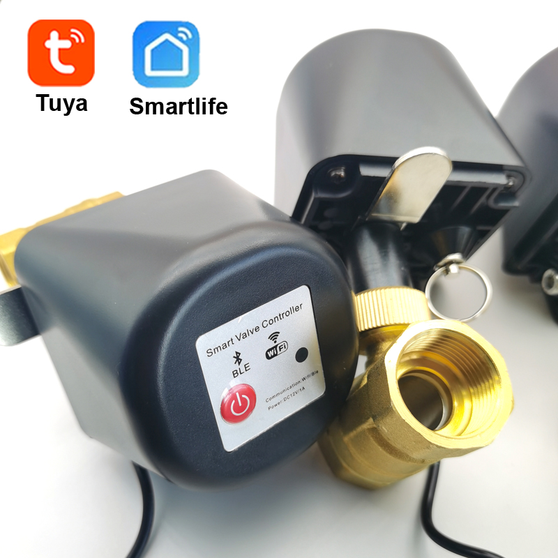 Tuya Zigbee Smart Water Valve  - Tuya Zigbee Garden Irrigation Controller review and price