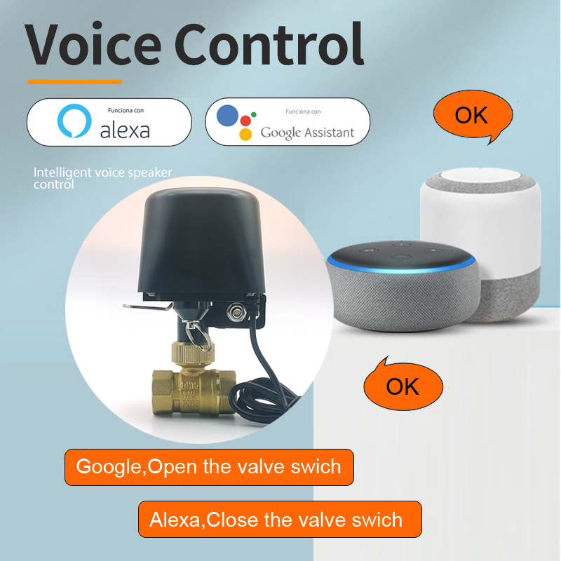 Tuya Zigbee Smart Water Valve  - Tuya Zigbee Garden Irrigation Controller review and price