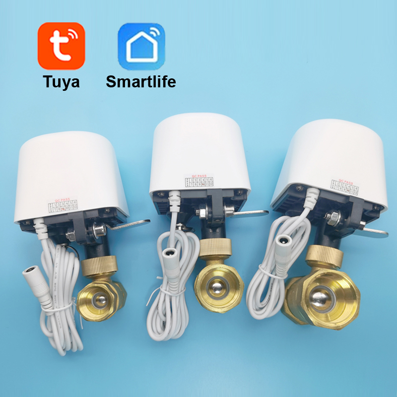 Tuya Wifi Zigbee Water Valve G - Tuya Zigbee Garden Irrigation Controller review and price