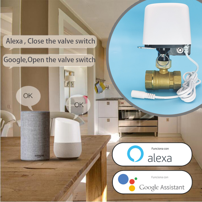Tuya Wifi Zigbee Water Valve G - Tuya Zigbee Garden Irrigation Controller review and price